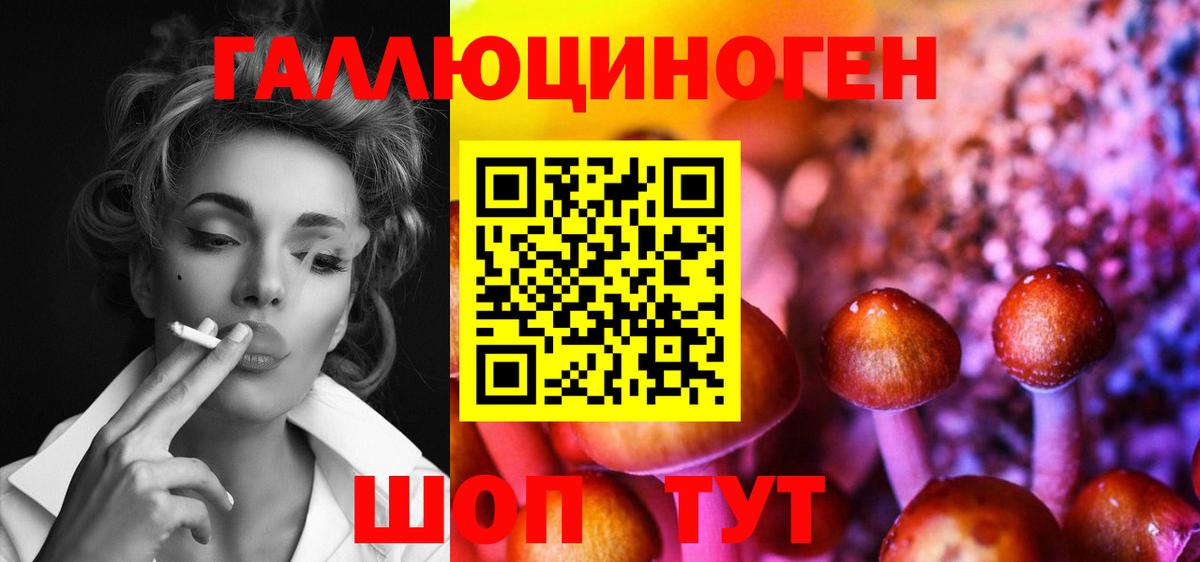 Псилоцибиновые грибы Psilocybe  Вход с VPN  Гусиноозёрск 