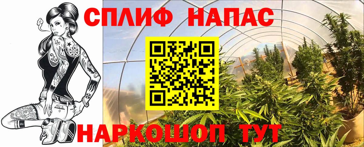 МАРИХУАНА SATIVA & INDICA Гусиноозёрск